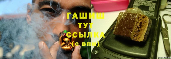 стаф Алзамай
