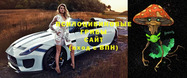 эйфоретик Алексин