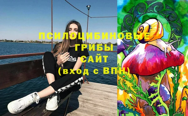 эйфоретик Алексин