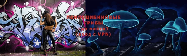 эйфоретик Алексин